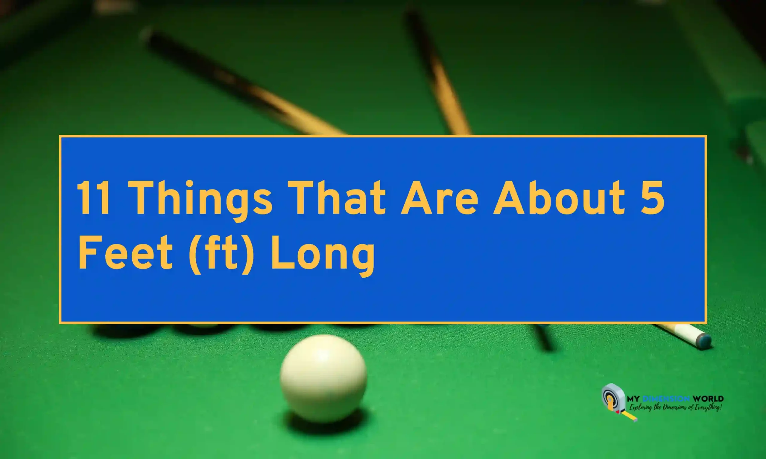 11-things-that-are-about-5-feet-ft-long