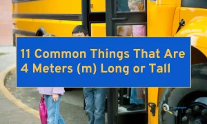 11 Common Things That Are 4 Meters (m) Long or Tall