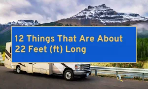 12 Things That Are About 22 Feet (ft) Long