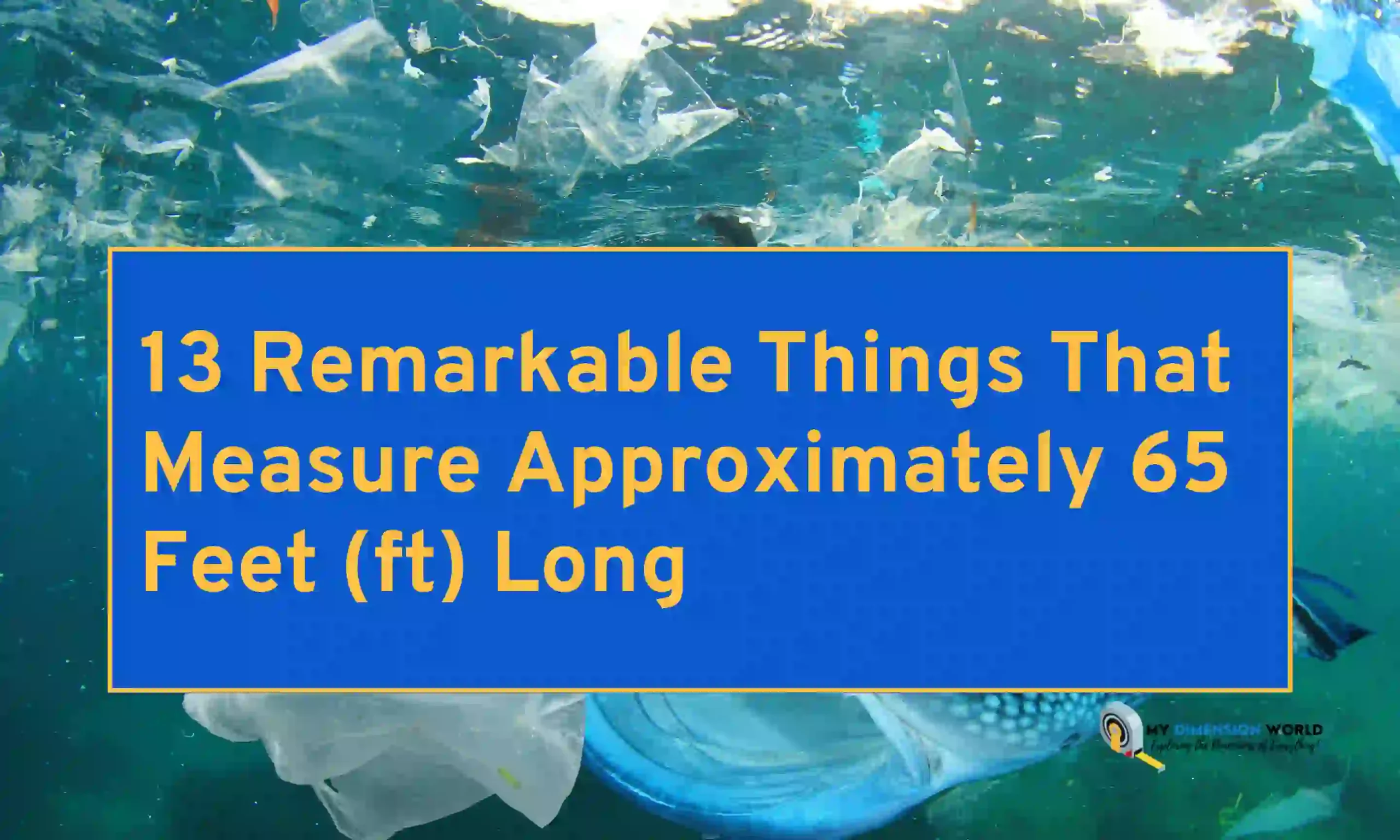 13 Remarkable Things That Measure Approximately 65 Feet (ft) Long