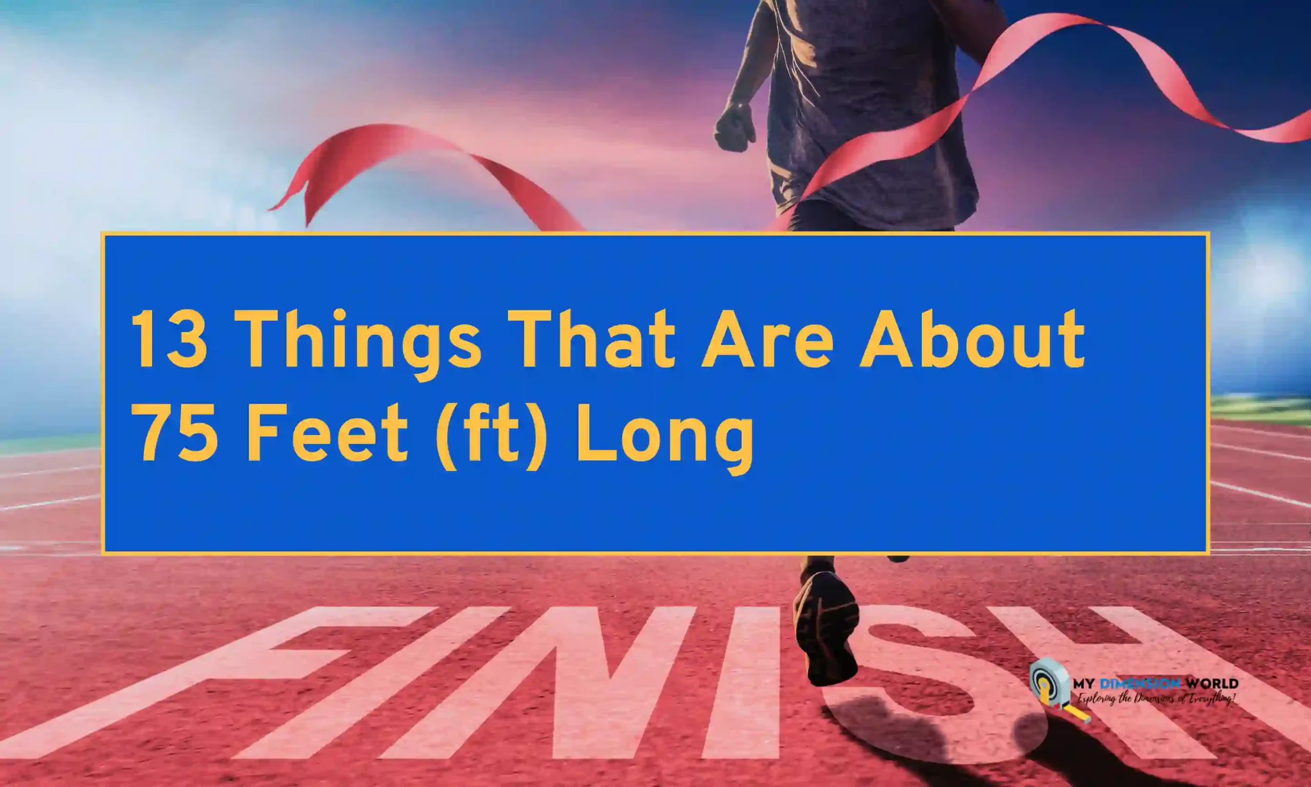 13 Things That Are About 75 Feet (ft) Long