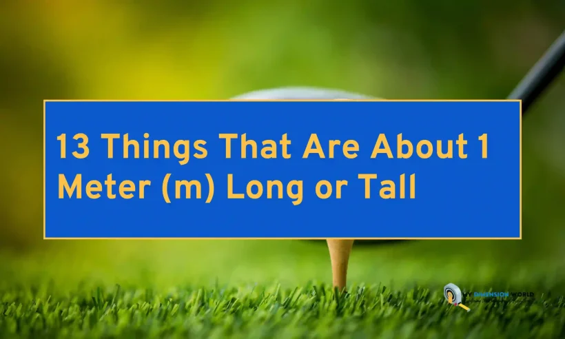 13 Things That Are About 1 Meter m Long or Tall