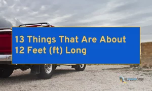 13 Things That Are About 12 Feet (ft) Long