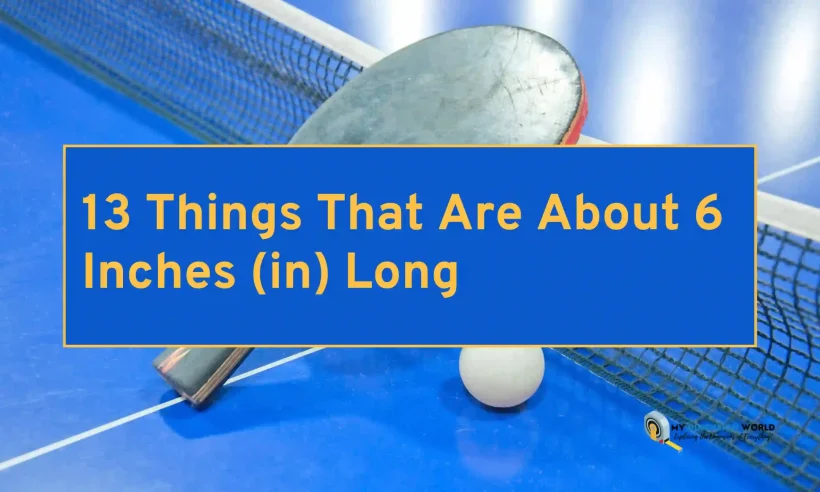 13 Things That Are About 6 Inches (in) Long