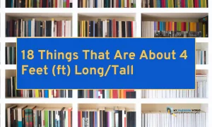 18 Things That Are About 4 Feet (ft) LongTall