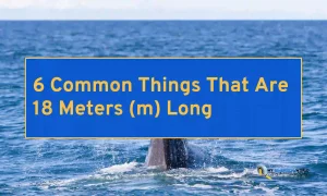 6 Common Things That Are 18 Meters (m) Long