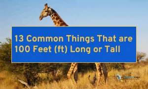 7 Common Things That Are 110 Meters (m) Long or Big (2)