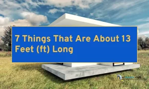 7 Things That Are About 13 Feet (ft) Long