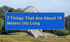 7 Things That Are About 19 Meters (m) Long