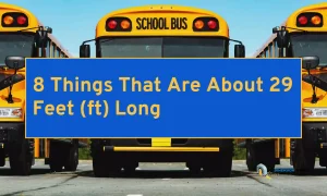 8 Things That Are About 29 Feet (ft) Long