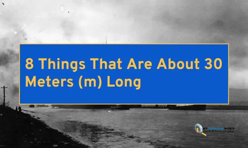 8 Things That Are About 30 Meters (m) Long