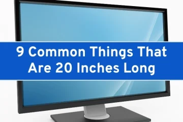 9 Common Things That Are 20 Inches Long