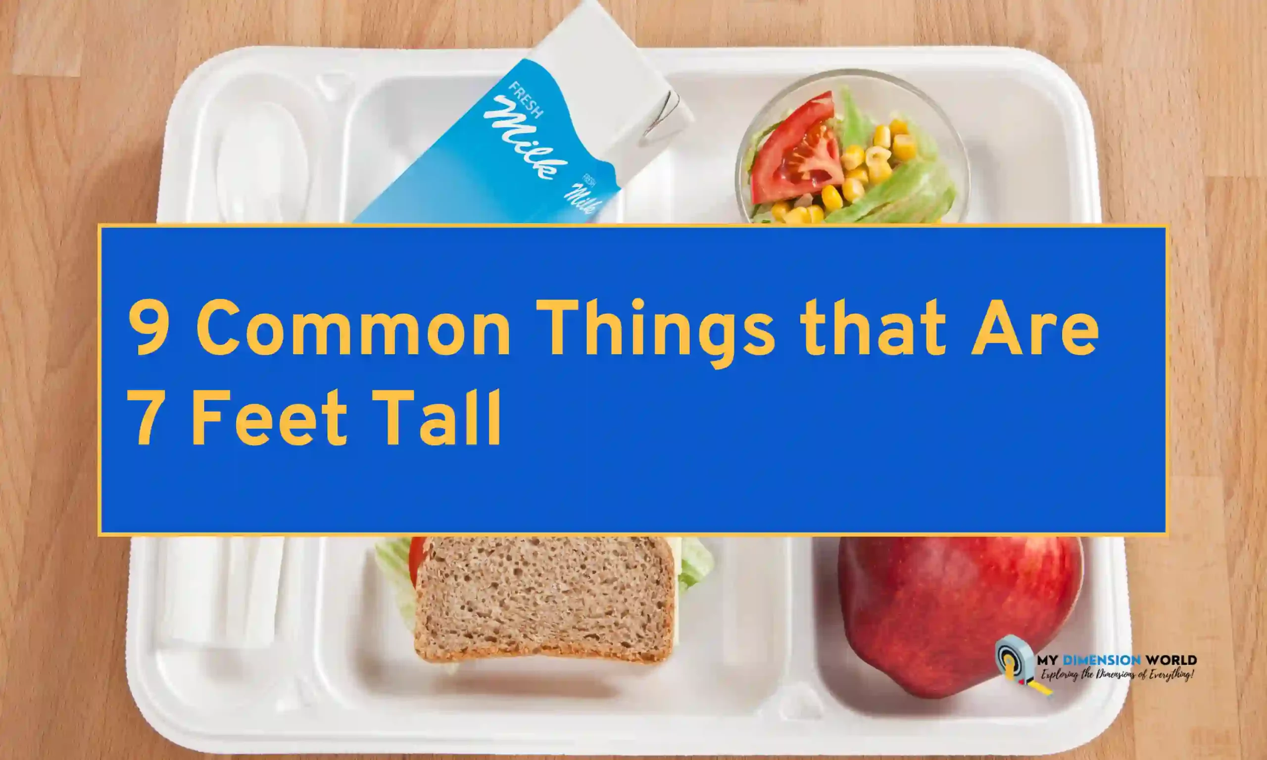 9 Common Things that Are 7 Feet Tall