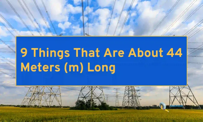 9 Things That Are About 44 Meters (m) Long