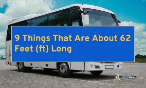 9 Things That Are About 62 Feet (ft) Long