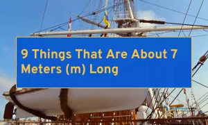 9 Things That Are About 7 Meters (m) Long