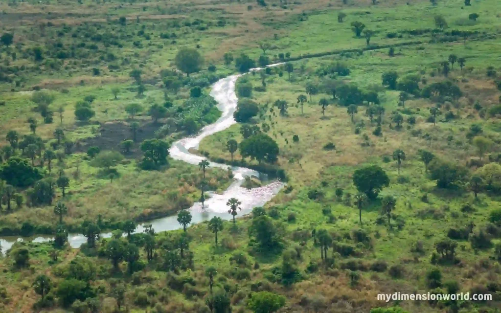 Nile River (Africa)