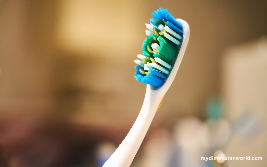 Toothbrush: The Average Toothbrush Length is Around 15 cm