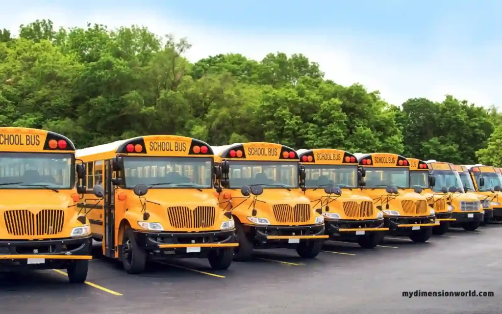 The Big Yellow Bus: School Bus-33 Feet