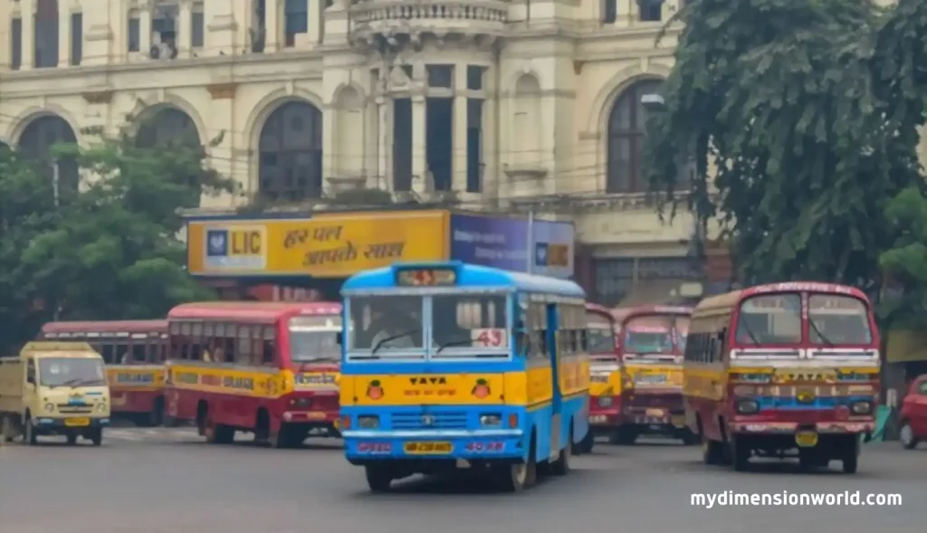 City buses