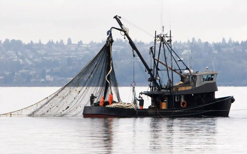 A Fleet of 10 Fishing Boats