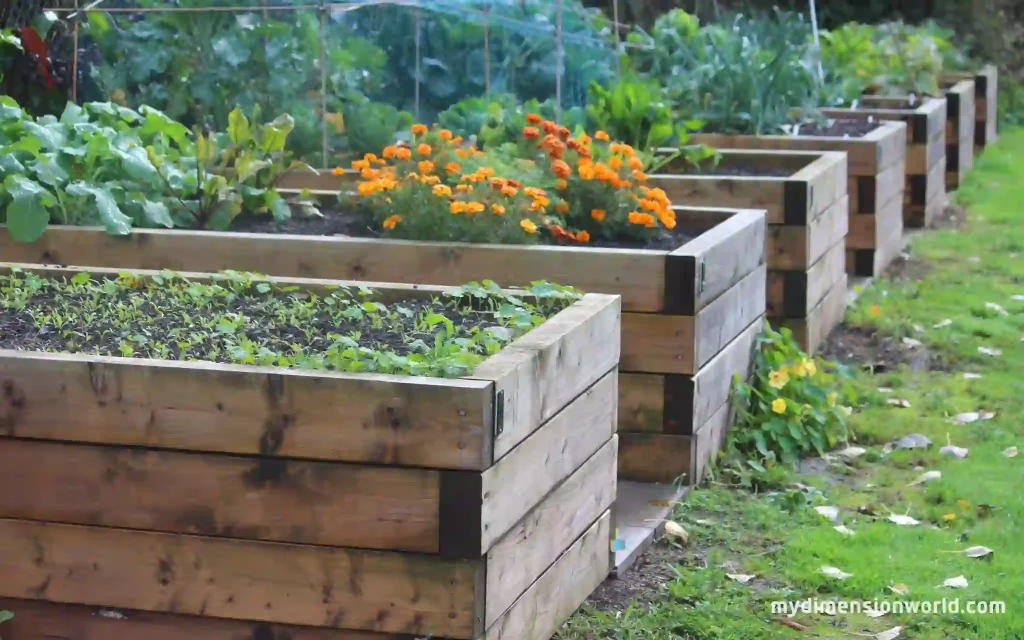 Garden bed Grow your own greens