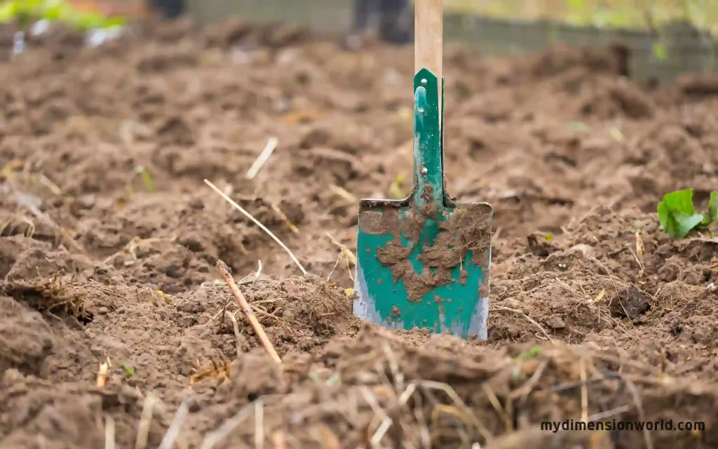 Garden Spades The Essential Gardening Tool