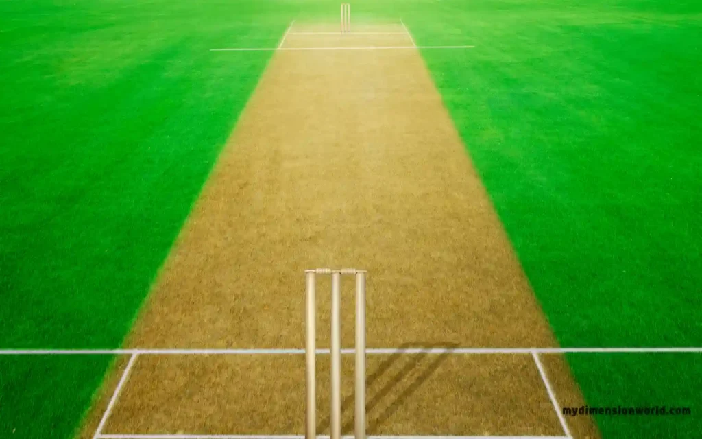 Half of a Cricket Pitch-37 Meters