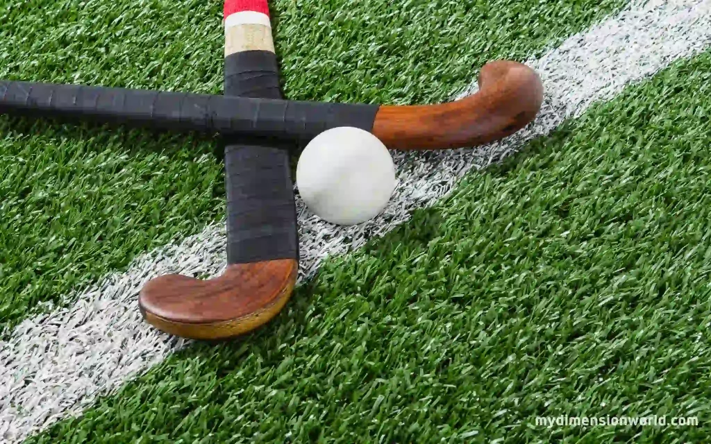 Field Hockey Sticks: A Compact Option