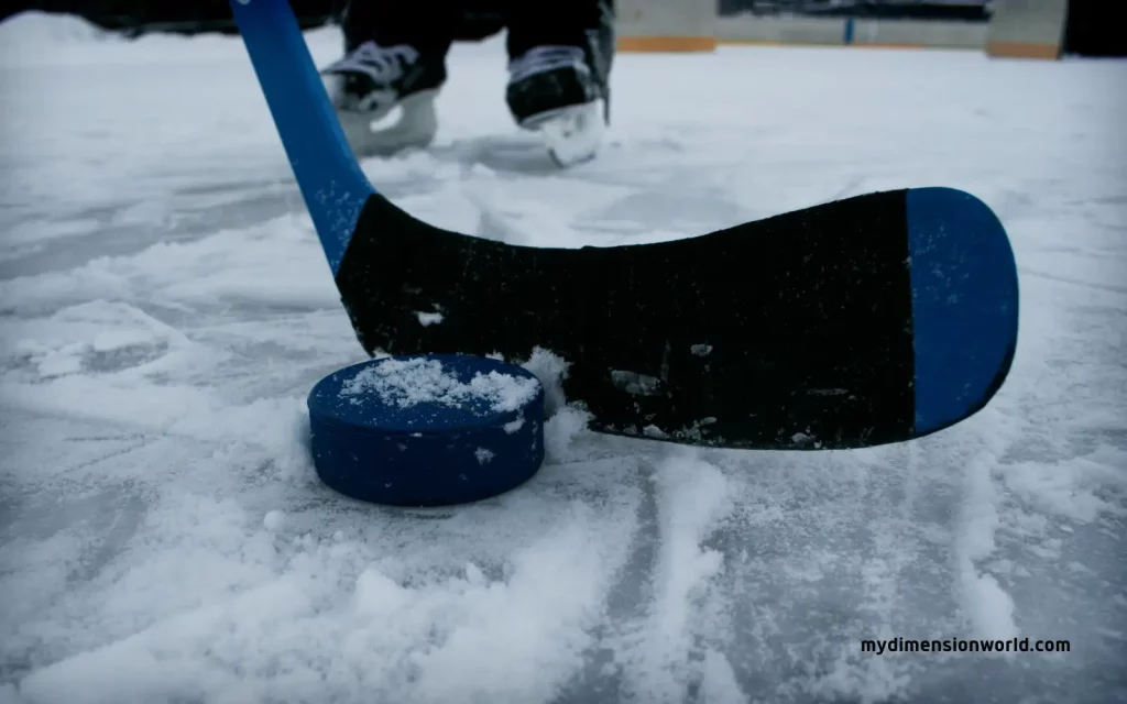 Ice Hockey Stick