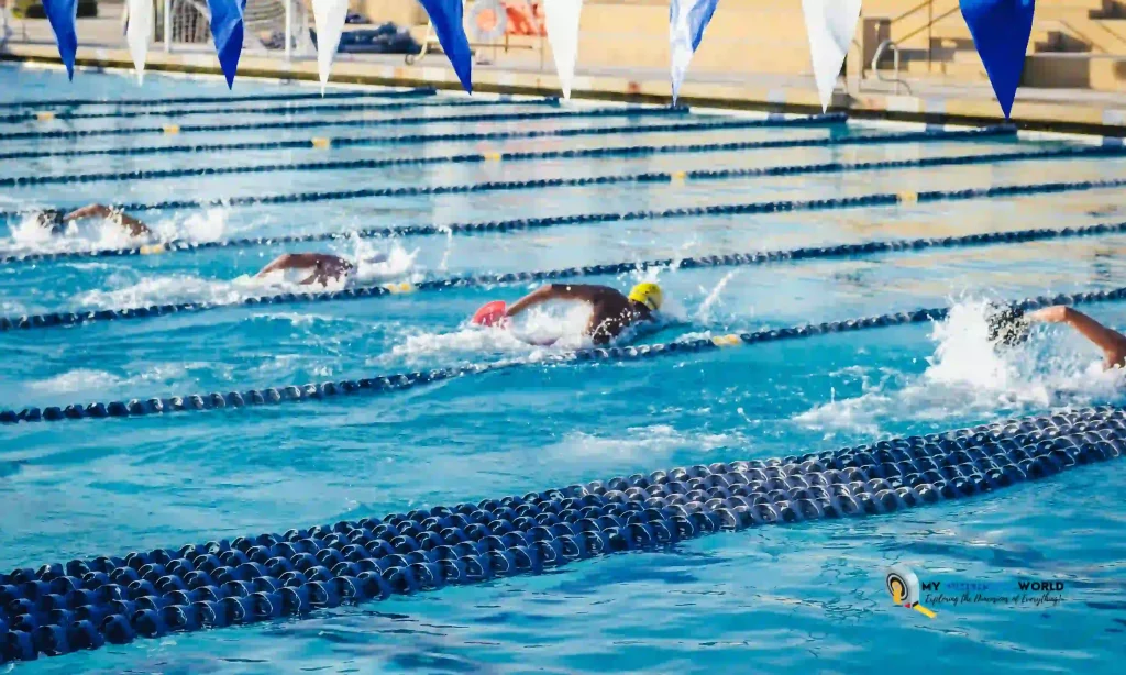 Olympic swimming pool