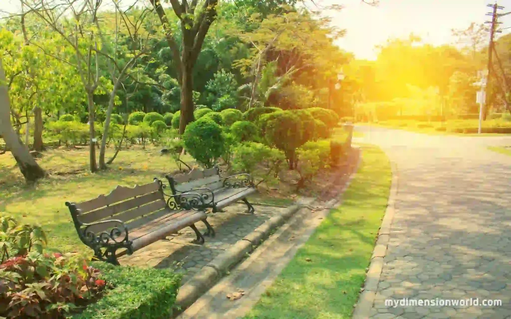 Outdoor Benches Relaxation Station