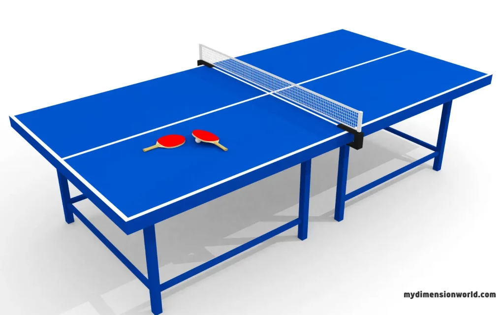 Ping Pong Table