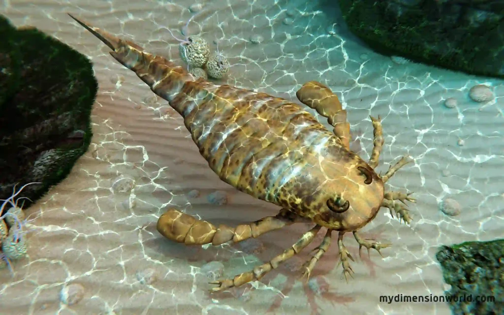 Prehistoric Sea Scorpion-32 Feet