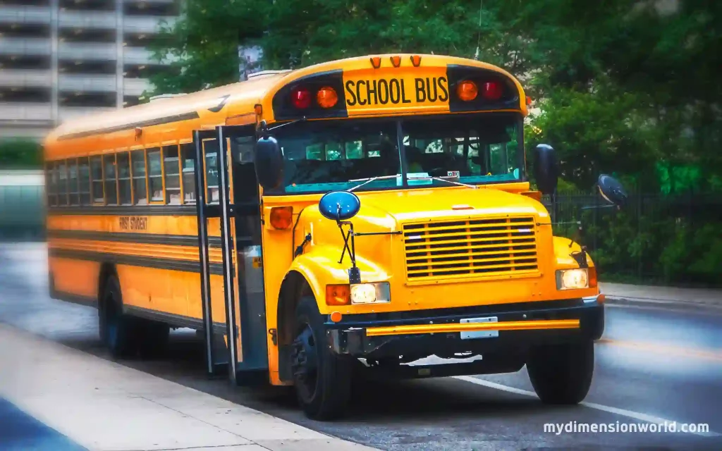 The Standard School Bus Length-7.5 Meters