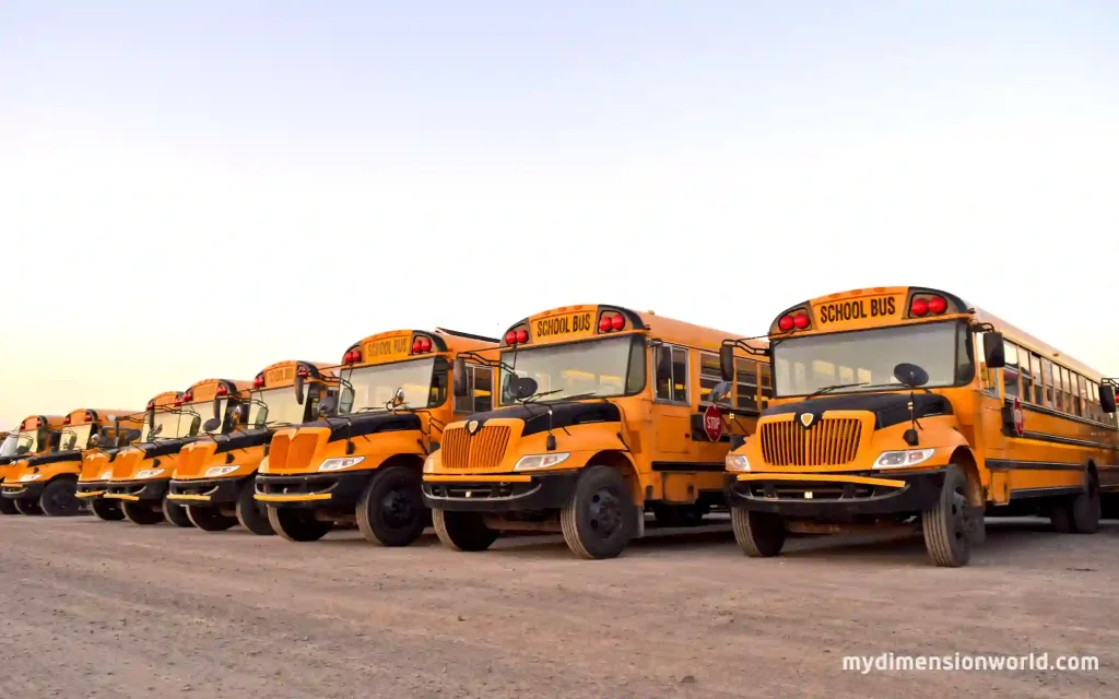 School Buses