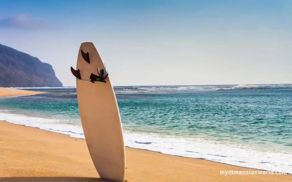 Surfboard: Riding the Waves on a 4-Foot Chariot-4 Feet