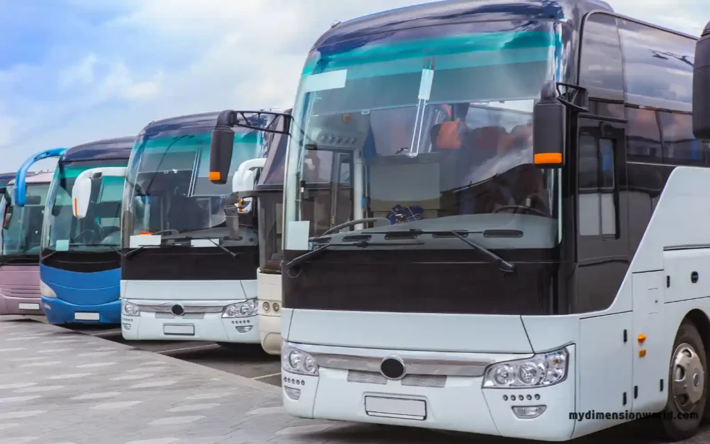 Some Buses and Coaches-6.5 Meters