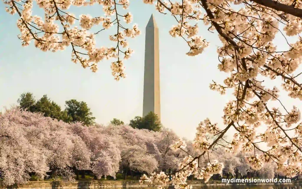 The Washington Monument: A Tribute to America's First President-54 Feet