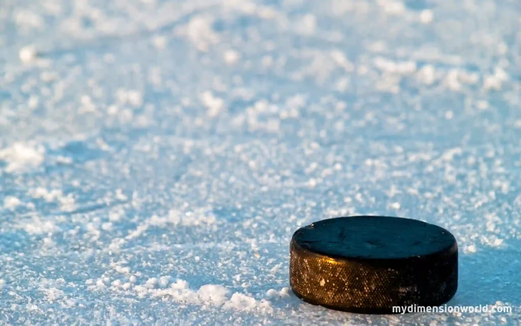 Two Hockey Pucks-6 Inches long