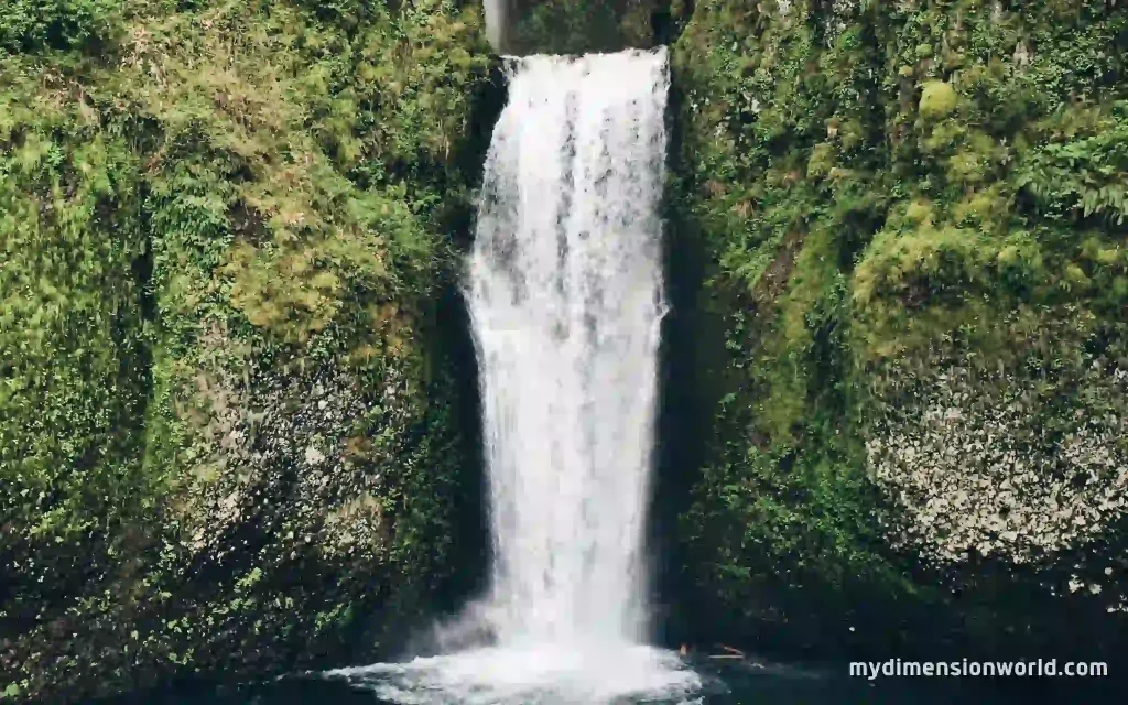 Waterfalls: A Powerful Force of Nature-52 Feet