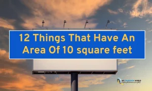 12 Things That Have An Area Of 10 square feet