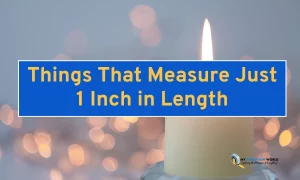 Things That Measure Just 1 Inch in Length