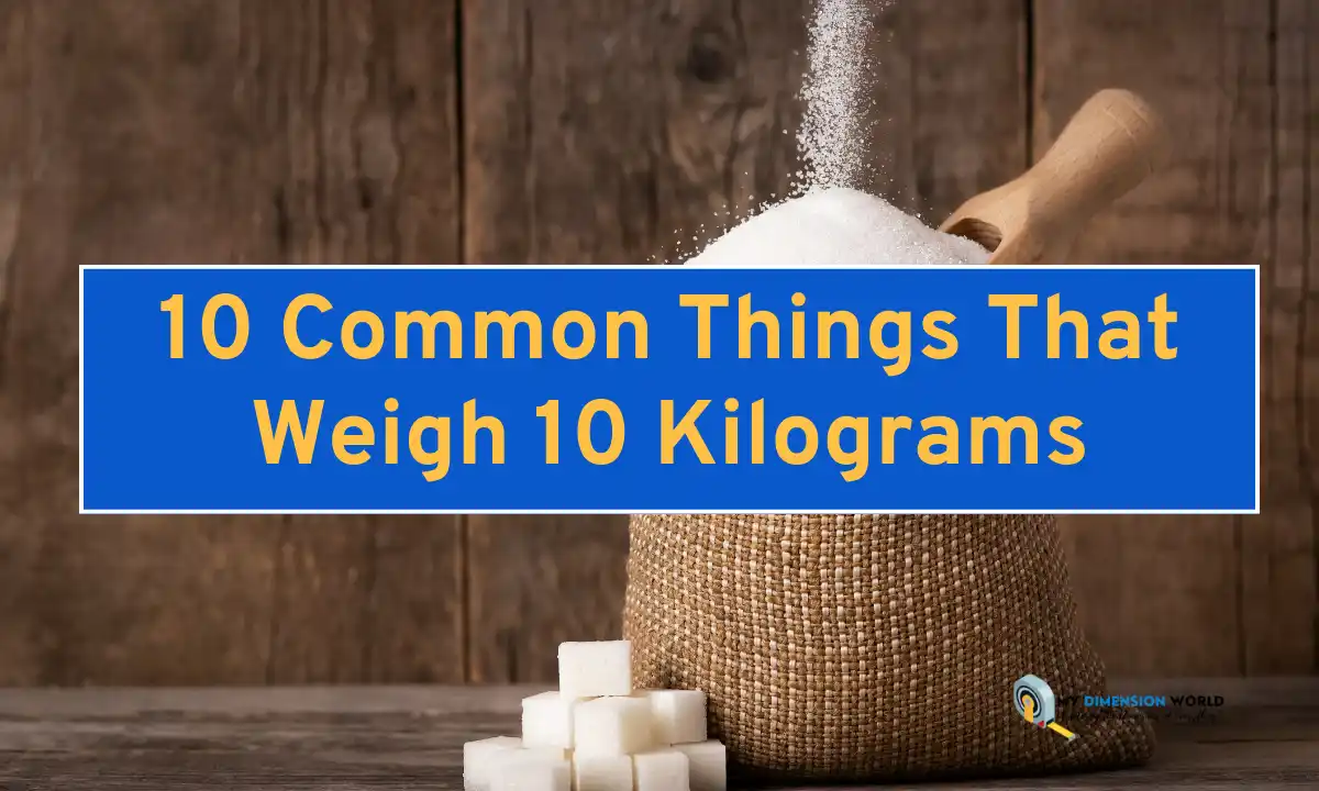 15 Things That Weigh 10 Grams