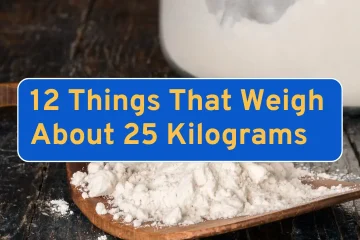 12 Things That Weigh About 25 Kilograms