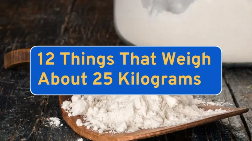 12 Things That Weigh About 25 Kilograms