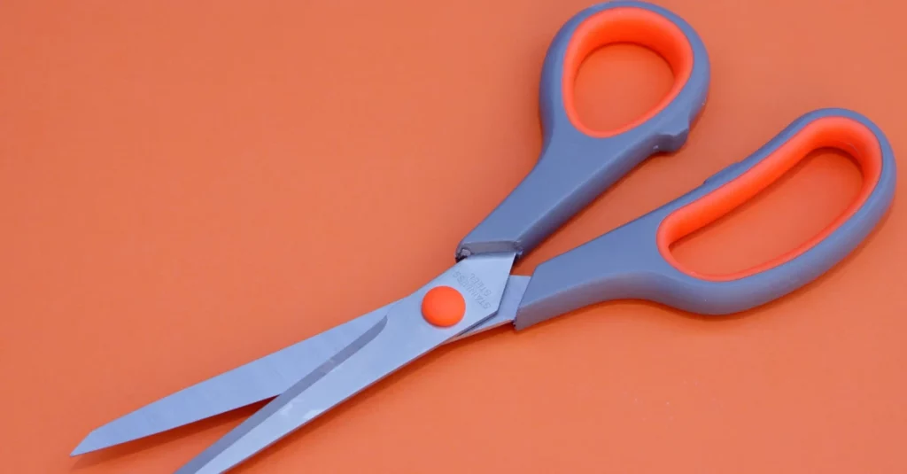 Scissors