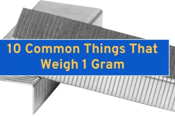 10 Common Things That Weigh 1 Gram