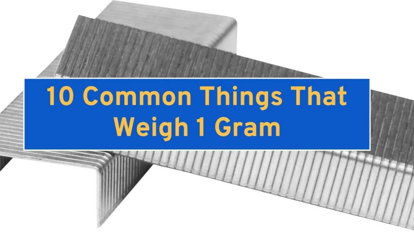 10 Common Things That Weigh 1 Gram