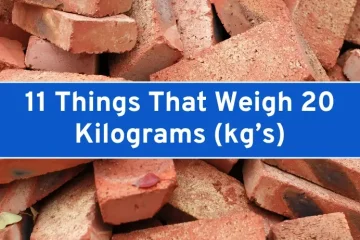 11 Things That Weigh 20 Kilograms (kg’s)